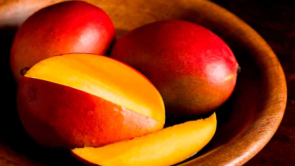 Как вырастить манго из косточки в домашних условиях